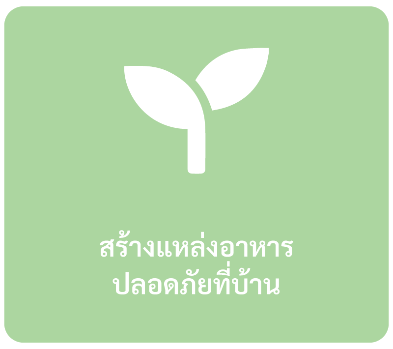 มูลนิธิซีซีเอฟ