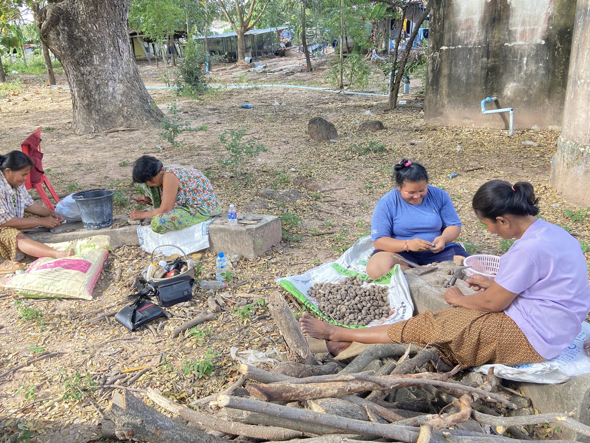 ชายแดนไทย-กัมพูชา