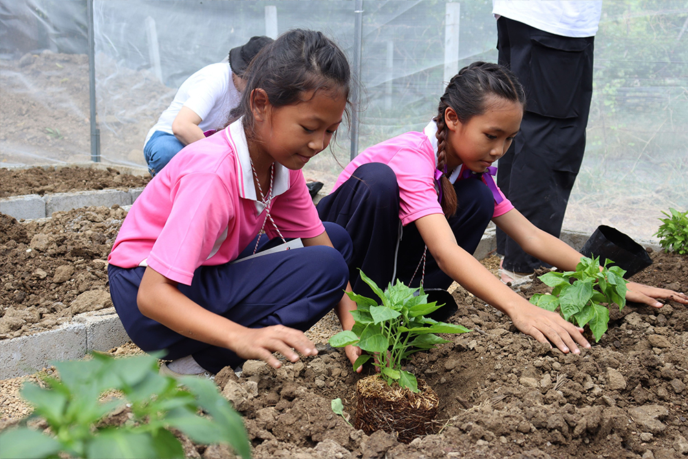 บริจาคออนไลน์