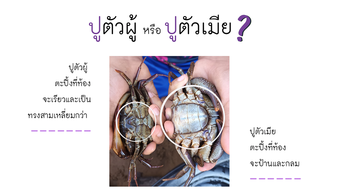 บริจาคออนไลน์